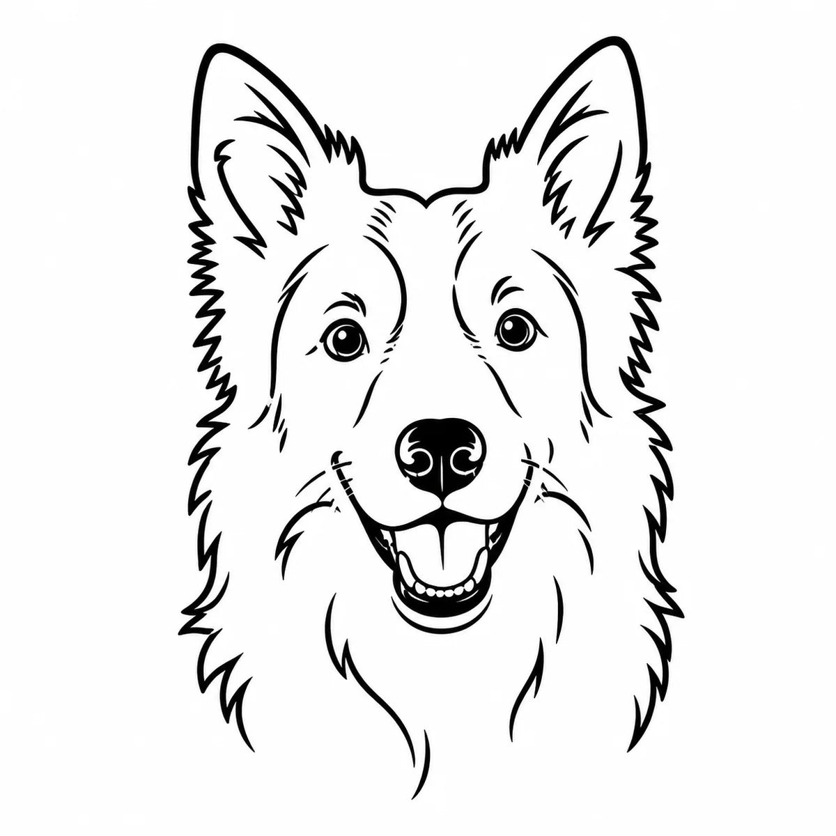 Custom border collie outline portrait